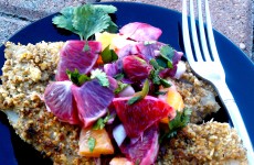 blood orange fish5