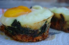 egg nests5