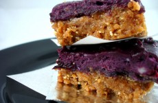 blueberry bars1