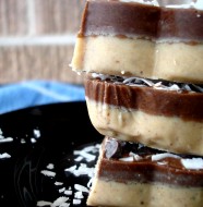 double fudge1 double fudge1