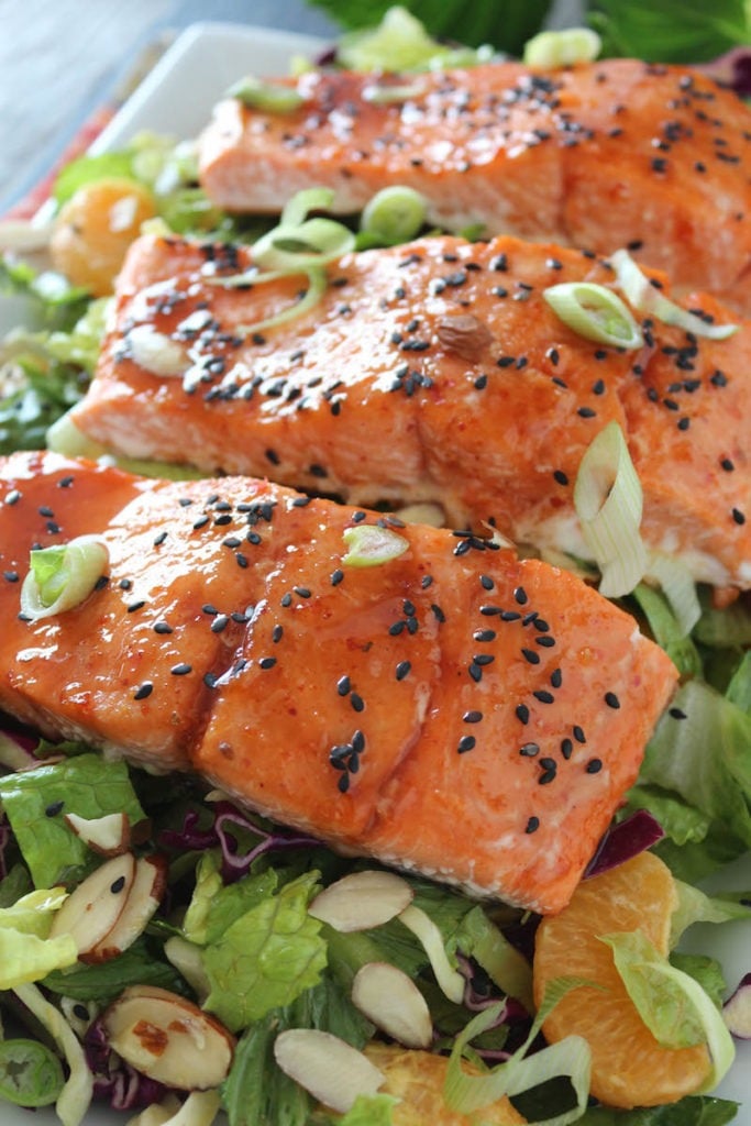 Spicy Candied Salmon Salad with Ginger Honey Dressing PaleOMG
