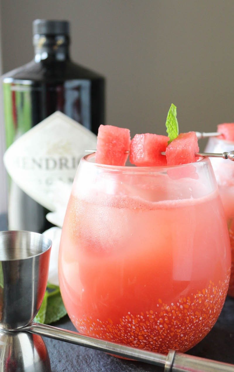 Watermelon Rhubarb Gin Fizz PaleOMG