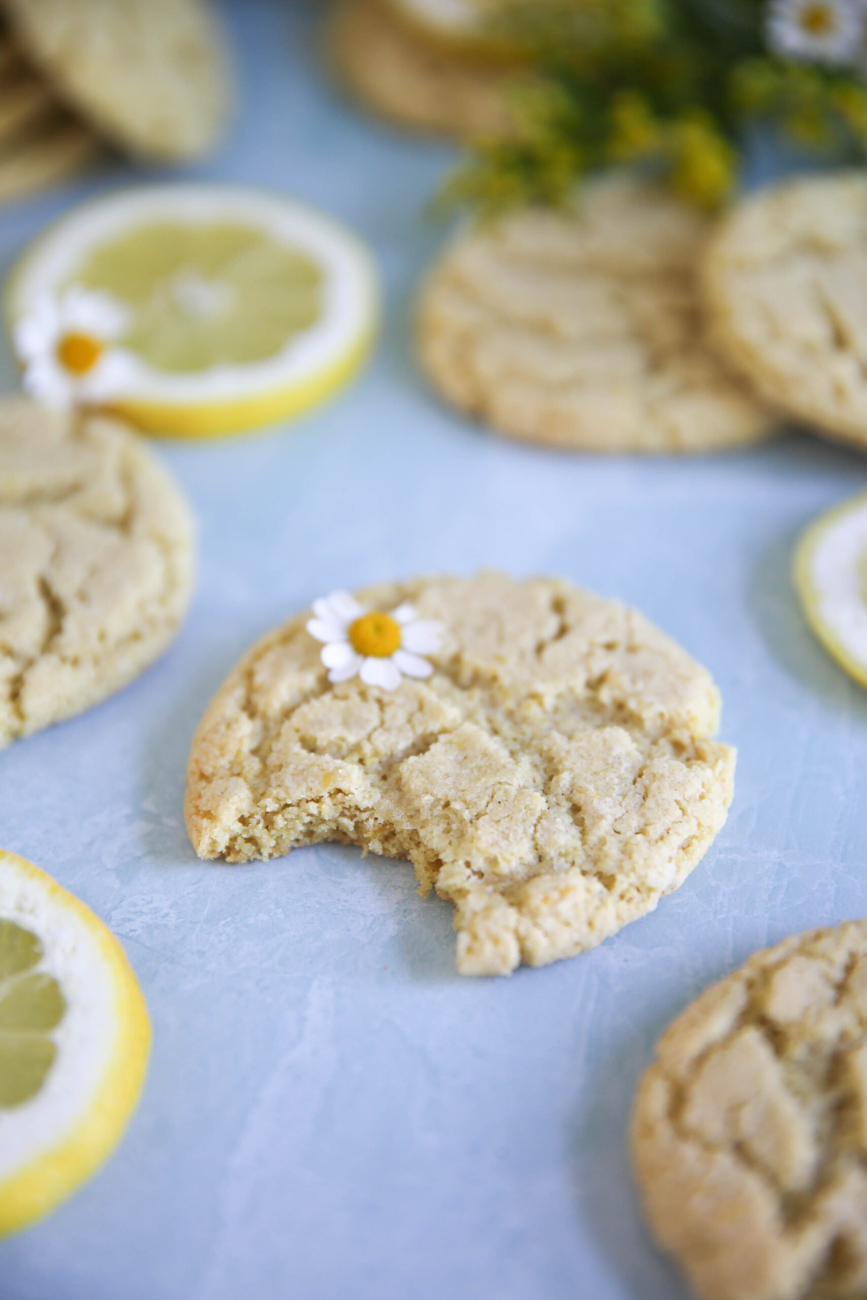 Gluten Free Lemon Cookies - PaleOMG