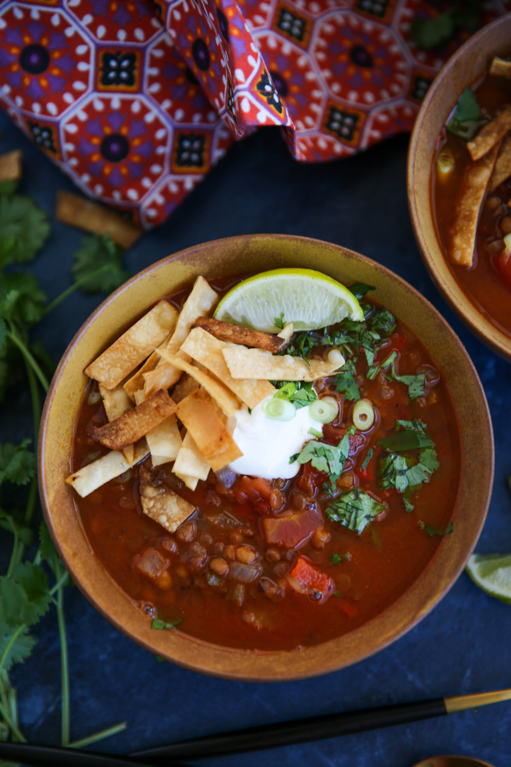 PaleOMG Super Easy Lentil Tortilla Soup