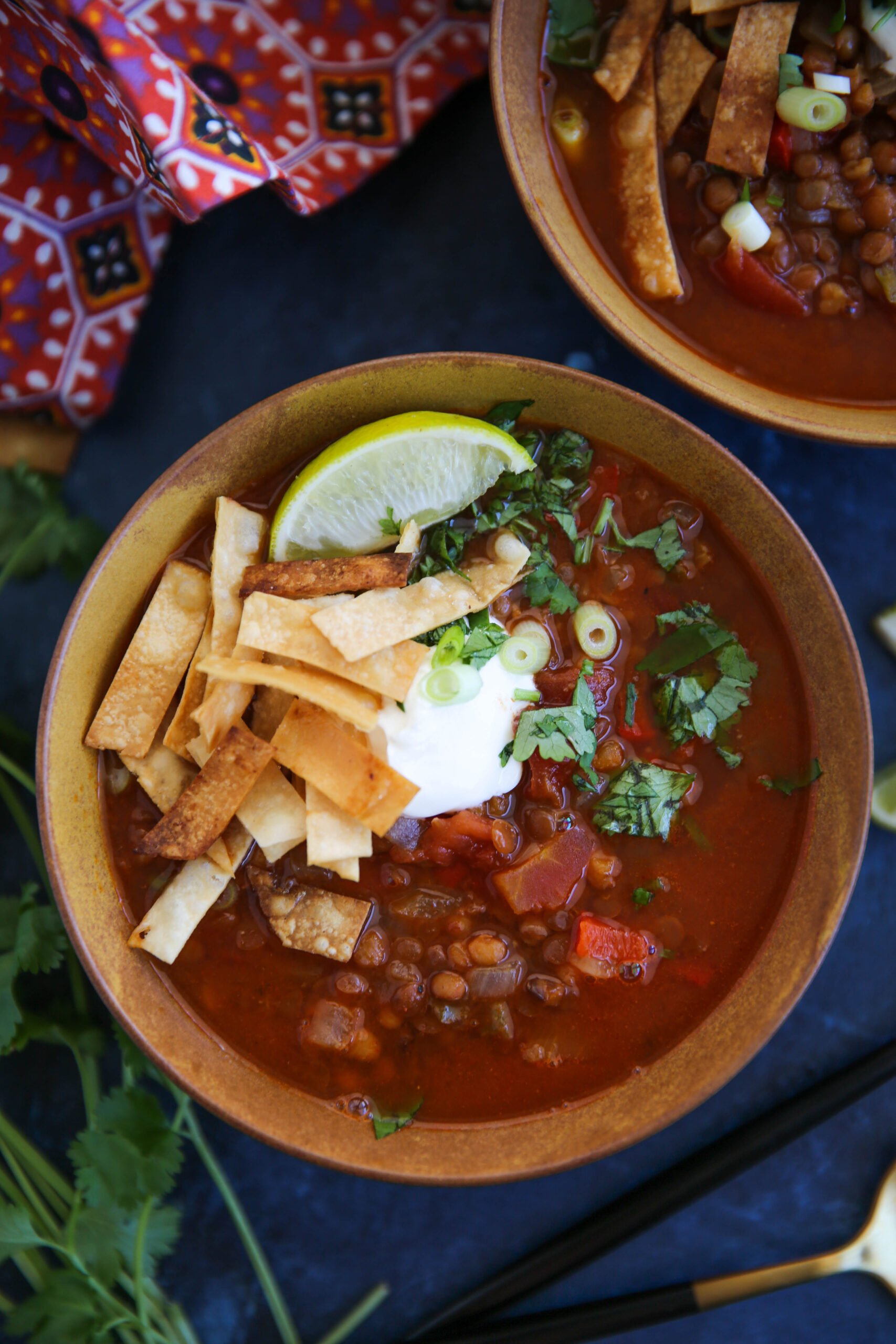 PaleOMG Super Easy Lentil Tortilla Soup