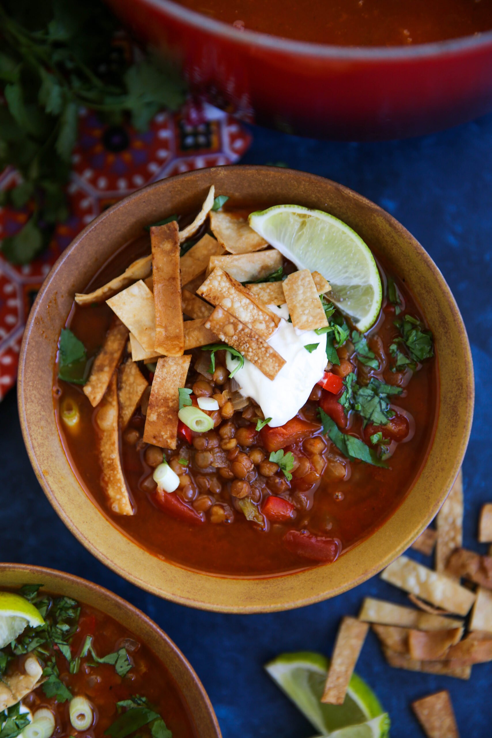 Chicken Tortilla Soup - Closet Cooking