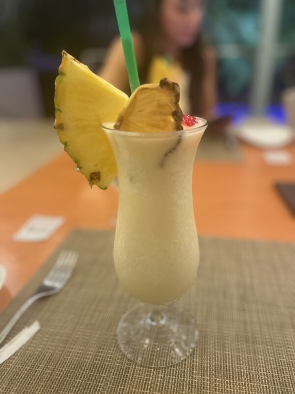 Our Recent Trip to Ocotal, Costa Rica PaleOMG